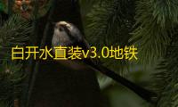 白开水直装v3.0地铁逃生卡密