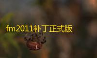 fm2011补丁正式版